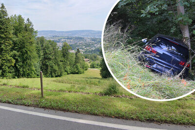 Auf der Buchenegpassstrasse verlor der Bauer die Kontrolle über sein Fahrzeug. Am Ende einer Böschung kam der Wagen in den Bäumen zum Stillstand. Bild: Google maps, Symbolbild