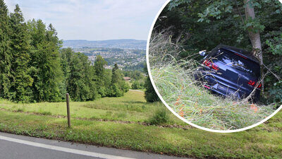 Auf der Buchenegpassstrasse verlor der Bauer die Kontrolle über sein Fahrzeug. Am Ende einer Böschung kam der Wagen in den Bäumen zum Stillstand. Bild: Google maps, Symbolbild