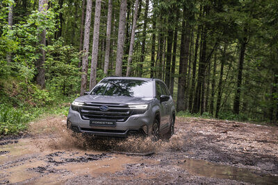 Subaru Forester von vorne im Wald
