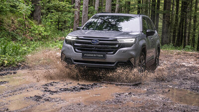 Subaru Forester von vorne im Wald