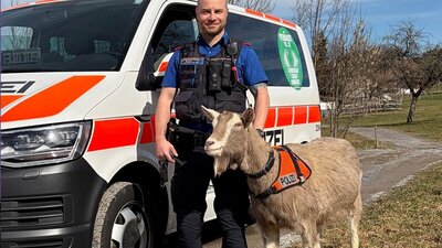 Kantonspolizei Schwyz Aprilscherz
