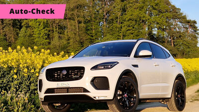 Jaguar e Pace