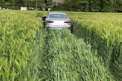 Wie bei diesem Unfall im Kanton Aargau im Januar 2024 raste auch der junge Kroate bei Boppelsen ZH ins Feld. Vom Vorfall liegen keine Aufnahmen vor. Symbolbild: Kantonspolizei Aargau